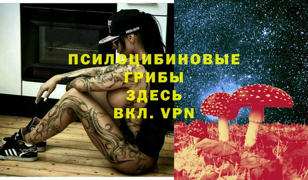 прущие крисы Бердск