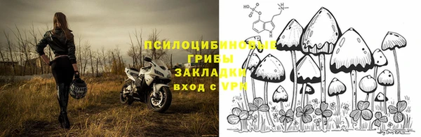 дживик Нефтекумск